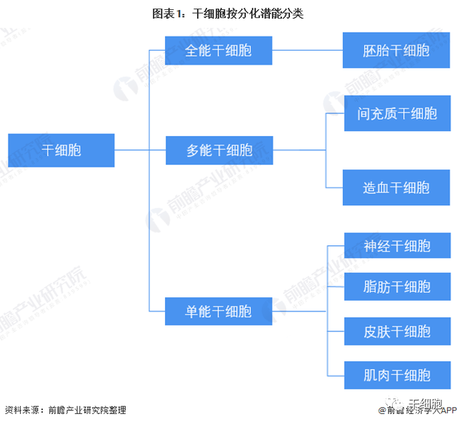 《2022年中國(guó)干細(xì)胞醫(yī)療產(chǎn)業(yè)全景圖譜》(附市場(chǎng)規(guī)模、競(jìng)爭(zhēng)格