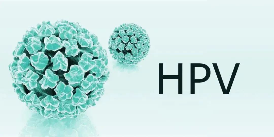 能預(yù)防宮頸癌的不只是HPV疫苗，免疫細(xì)胞同樣具備殺滅病毒的能
